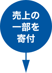 フランス｜COLAS 社　太陽光発電舗装の取組み2